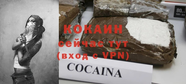 шишки Заволжье
