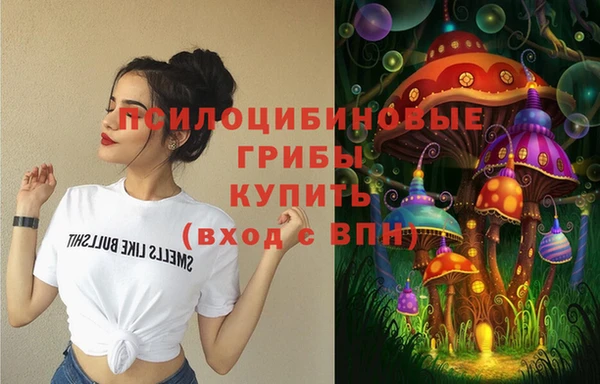 а пвп мука Ельня