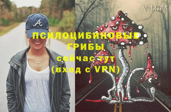 а пвп мука Ельня